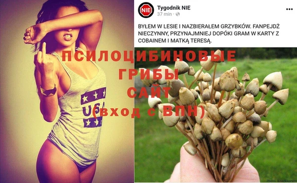 молекула духа Алексеевка