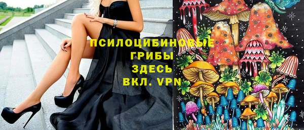 spice Алзамай