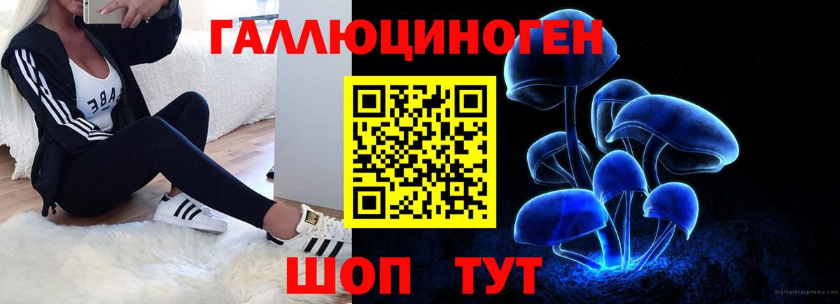 Псилоцибиновые грибы Psilocybe  Вход с VPN  Вологда 